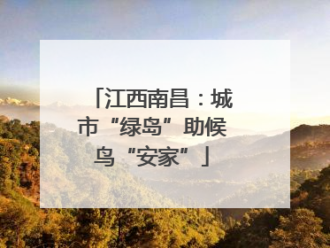 江西南昌：城市“绿岛”助候鸟“安家”