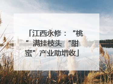 江西永修：“桃”满挂枝头 “甜蜜”产业助增收