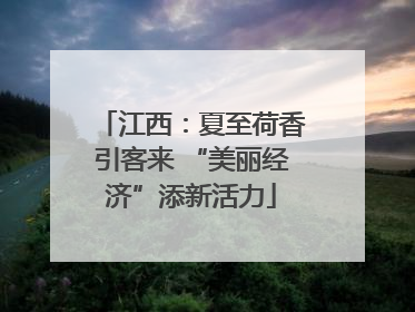 江西：夏至荷香引客来 “美丽经济”添新活力