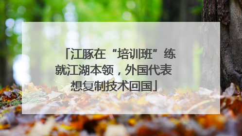 江豚在“培训班”练就江湖本领，外国代表想复制技术回国