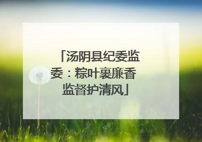 汤阴县纪委监委：粽叶裹廉香 监督护清风