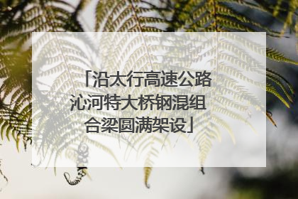 沿太行高速公路沁河特大桥钢混组合梁圆满架设