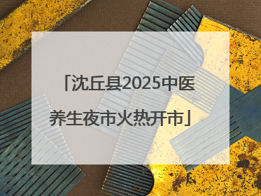 沈丘县2025中医养生夜市火热开市