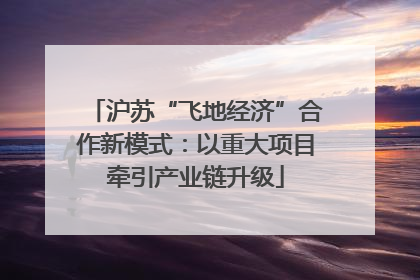 沪苏“飞地经济”合作新模式：以重大项目牵引产业链升级