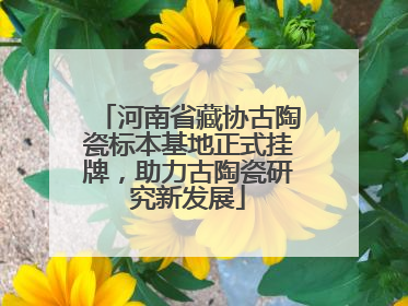 河南省藏协古陶瓷标本基地正式挂牌，助力古陶瓷研究新发展