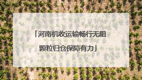 河南机收运输畅行无阻 颗粒归仓保障有力