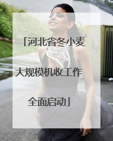河北省冬小麦大规模机收工作全面启动