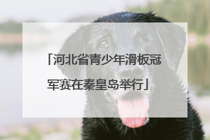 河北省青少年滑板冠军赛在秦皇岛举行