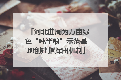 河北曲周为万亩绿色“吨半粮”示范基地创建指挥田机制