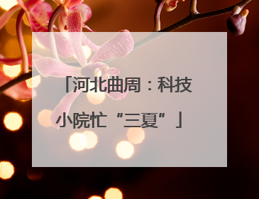 河北曲周：科技小院忙“三夏”
