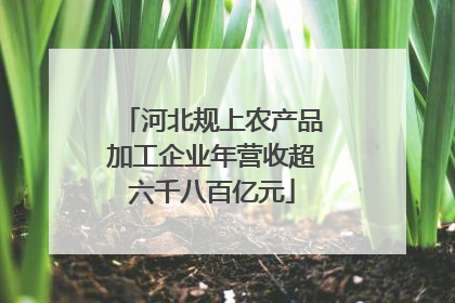 河北规上农产品加工企业年营收超六千八百亿元