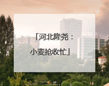 河北隆尧：小麦抢收忙