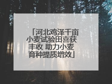 河北鸡泽千亩小麦试验田喜获丰收 助力小麦育种提质增效