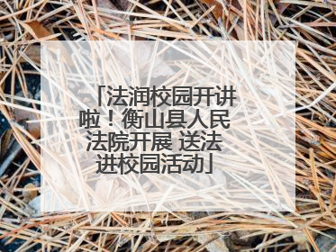 法润校园开讲啦！衡山县人民法院开展 送法进校园活动