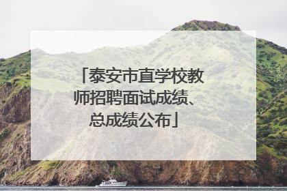泰安市直学校教师招聘面试成绩、总成绩公布