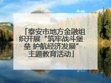 泰安市地方金融组织开展“筑牢战斗堡垒 护航经济发展”主题教育活动