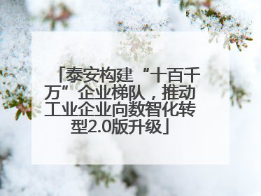 泰安构建“十百千万”企业梯队，推动工业企业向数智化转型2.0版升级
