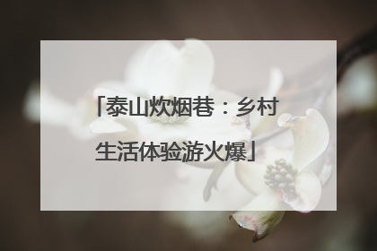 泰山炊烟巷：乡村生活体验游火爆