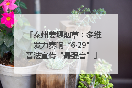 泰州姜堰烟草：多维发力奏响“6·29”普法宣传“最强音”