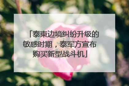 泰柬边境纠纷升级的敏感时期，泰军方宣布购买新型战斗机