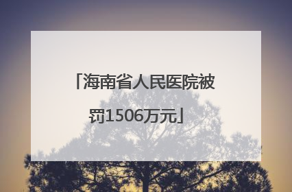 海南省人民医院被罚1506万元