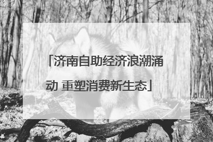 济南自助经济浪潮涌动 重塑消费新生态