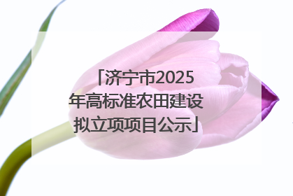济宁市2025年高标准农田建设拟立项项目公示