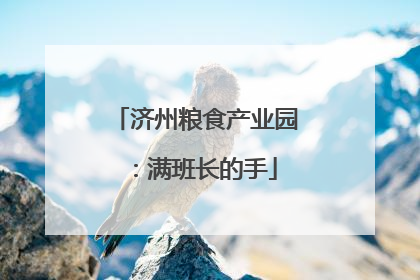 济州粮食产业园：满班长的手