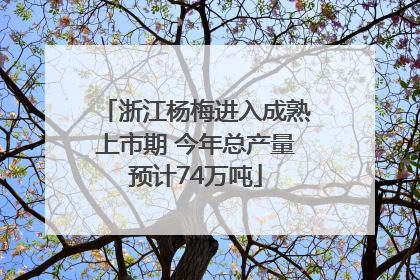 浙江杨梅进入成熟上市期 今年总产量预计74万吨