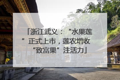 浙江武义：“水果莲”正式上市，莲农增收“致富果”注活力