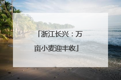 浙江长兴：万亩小麦迎丰收