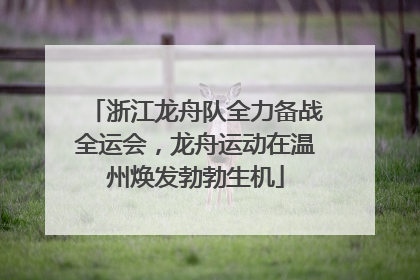 浙江龙舟队全力备战全运会，龙舟运动在温州焕发勃勃生机