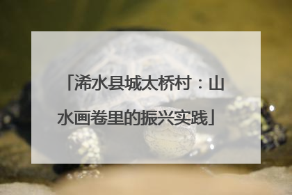 浠水县城太桥村：山水画卷里的振兴实践