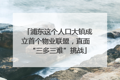 浦东这个人口大镇成立首个物业联盟，直面“三多三难”挑战
