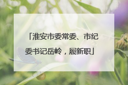 淮安市委常委、市纪委书记岳岭，履新职