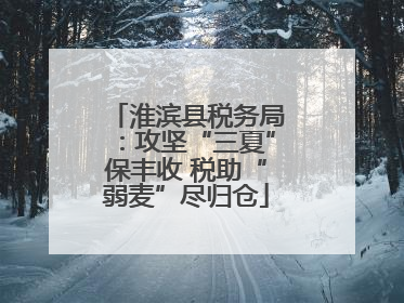 淮滨县税务局：攻坚“三夏”保丰收 税助“弱麦”尽归仓