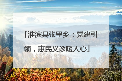 淮滨县张里乡：党建引领，惠民义诊暖人心