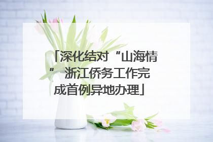 深化结对“山海情” 浙江侨务工作完成首例异地办理