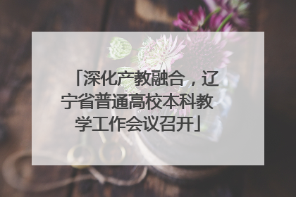 深化产教融合，辽宁省普通高校本科教学工作会议召开