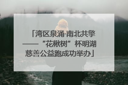 湾区泉涌·南北共擎——“花楸树”杯明湖慈善公益跑成功举办