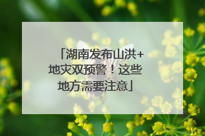 湖南发布山洪+地灾双预警！这些地方需要注意