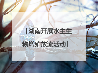 湖南开展水生生物增殖放流活动