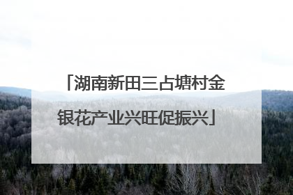 湖南新田三占塘村金银花产业兴旺促振兴