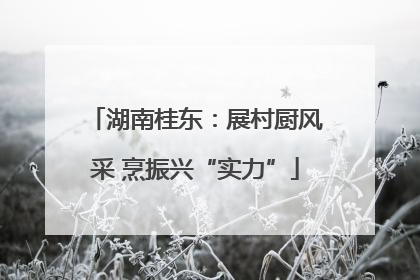 湖南桂东：展村厨风采 烹振兴“实力”