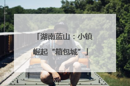 湖南蓝山：小镇崛起“箱包城”