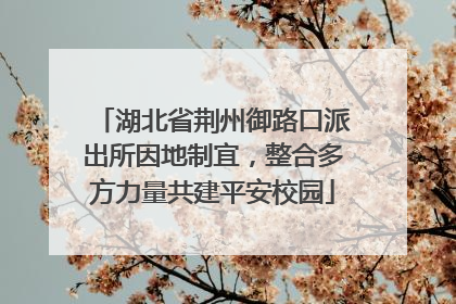 湖北省荆州御路口派出所因地制宜，整合多方力量共建平安校园