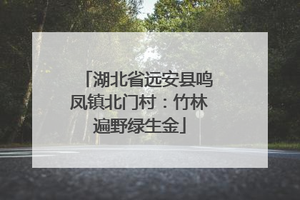 湖北省远安县鸣凤镇北门村：竹林遍野绿生金