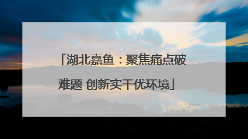 湖北嘉鱼：聚焦痛点破难题 创新实干优环境