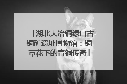 湖北大冶铜绿山古铜矿遗址博物馆：铜草花下的青铜传奇