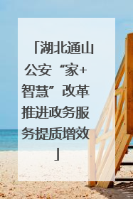 湖北通山公安“家+智慧”改革推进政务服务提质增效